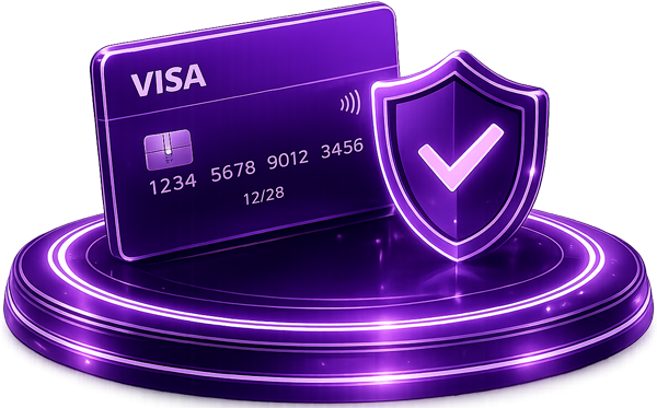 Visa payment icon